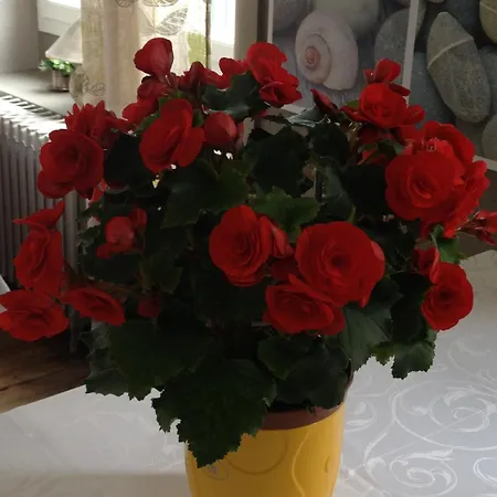 Ξενοδοχείο De Nevers 2*